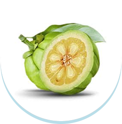 สารสกัดจากผลส้มแขก, Garcinia Cambodia,block แป้ง,เบิร์นน้ำตาล,ลดน้ำหนัก,ลดความอยากอาหาร