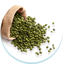เมล็ดกาแฟเขียว, Green Coffee Bean Extract,สารสกัดจากเมล็ดกาแฟเขียว,ลดระดับความดันโลหิต,อยากผอม,คนอ้วน