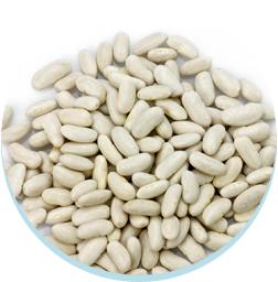 สารสกัดจากถั่วขาว, White Kidney Bean Extract